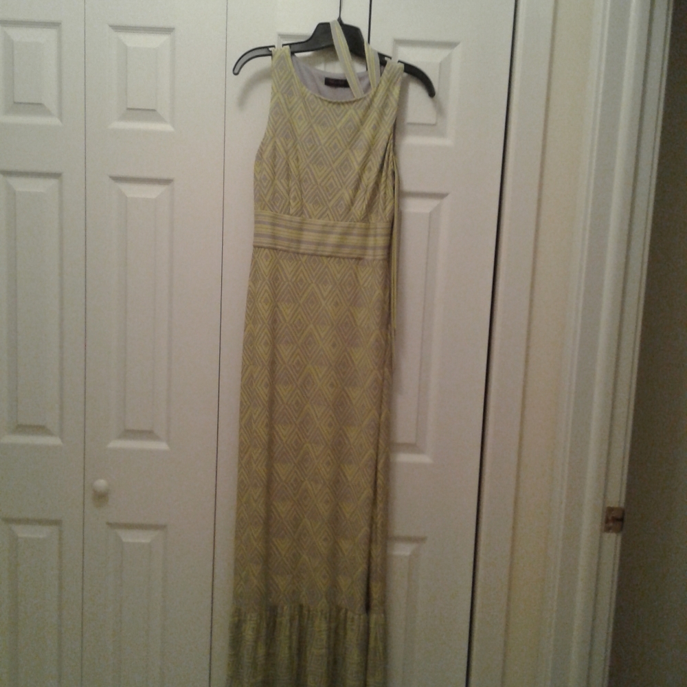 The Limited Print Maxi Dress